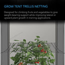 AC Infinity GROW TENTE TREILLIS, CORDONS ÉLASTIQUES FLEXIBLES