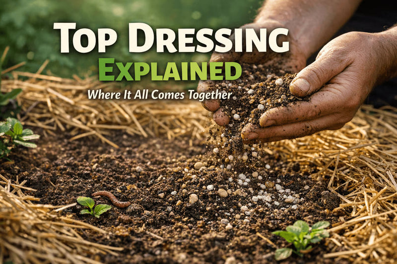 Top Dressing: Where It All Comes Together