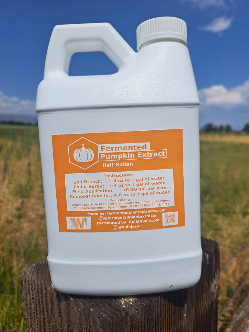 pumpkin extract
