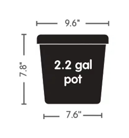 AutoPot 3,9 Gallonen Topf