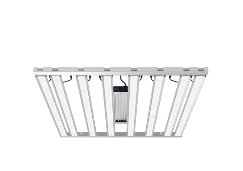 Grandmaster LED Tarantula Tent Ultimate 4x4 V2