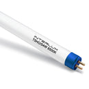 Interlux fluorescent light bulb on a white background