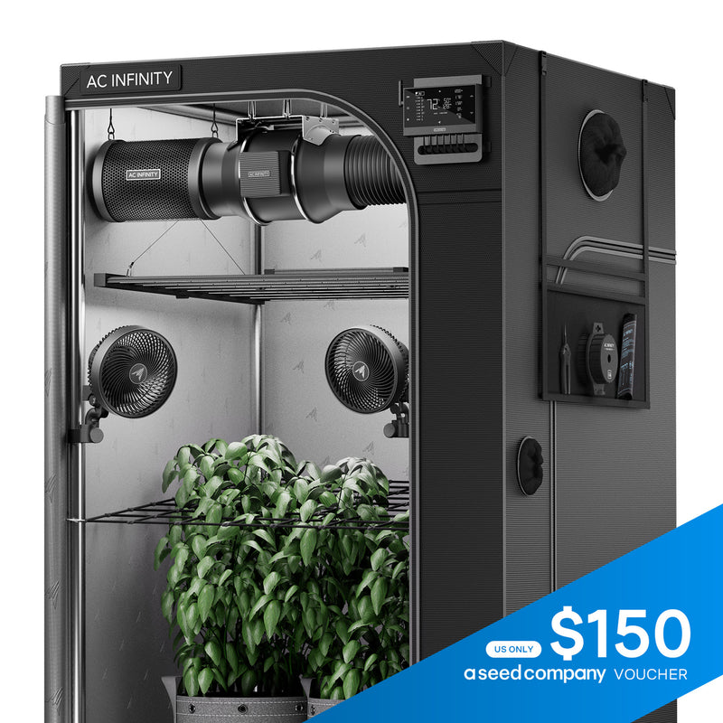 Black AC Infinity indoor grow tent with plants inside, featuring a $150 seed company voucher on a white background.