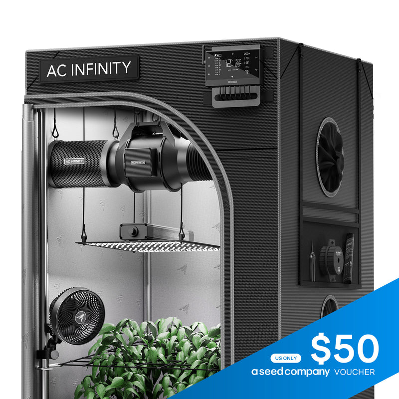 ac infinity grow tent AI System 2x4, 2-Plant Kit Frame Color:Himalayan Pink Markisen-Ersatzstoff Grün und Weiß Fi environmental monitoring and Year_2015_Make_Ford_Model_Mustang_Engine_2.3L Gas