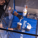 Bella Bora Still Air Box