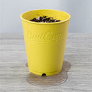 BudCups: Self-Draining