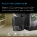 Next-gen plant humidifier with UV sanitation technology in a indoor setting.