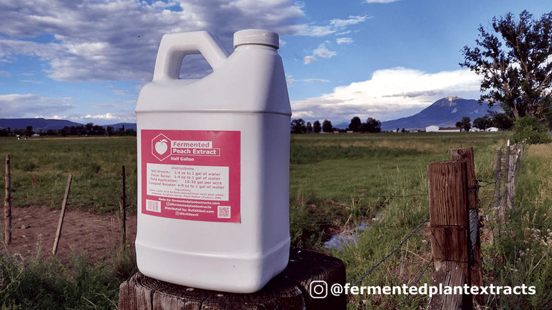 BuildASoil Fermented Plant Extracts: Liquid Peach Extract 1/2 Gallon