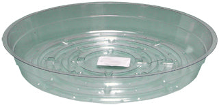 Saucer