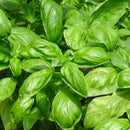 Seeds - Sow True Seed