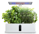 Hydroponic Growing System
