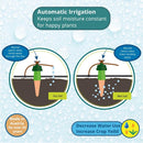 Diagram of automatic irrigation system with text explaining its function.