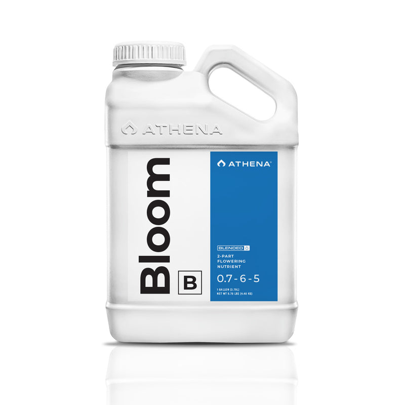 Athena Blended Bloom B