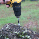 Shiitake Mushroom Outdoor Log Starter Kit