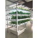 Vertical 4 Tier NFT Lettuce & Herb System - 5ft - 4in Channels