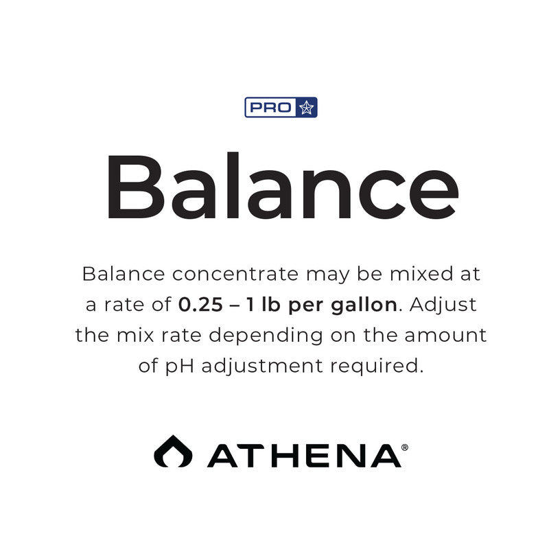 Athena Pro Balance