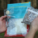 Shiitake Mushroom Outdoor Log Starter Kit