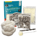 Lion's Mane Mushroom Outdoor Log Starter Kit