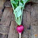 Seeds - Sow True Seed