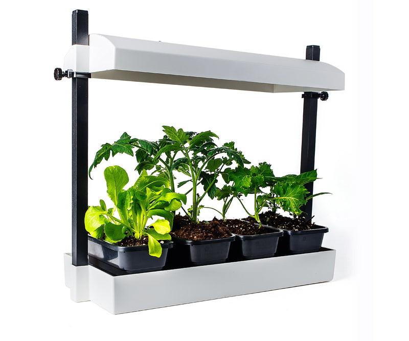 Micro LED Grow Light Garden, White 