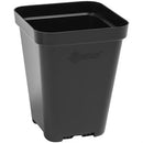 SUNPACK 3.3 Inch Square Pots