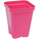 SUNPACK 3.3 Inch Square Pots