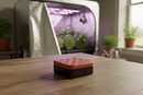 Sprout Silicone Germination Chamber