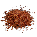 Sterilized Sorghum Grain Bag (3 LBS)