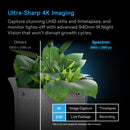 Comparison of 4K imaging on a plant with text about Ultra-Sharp 4K Imaging.