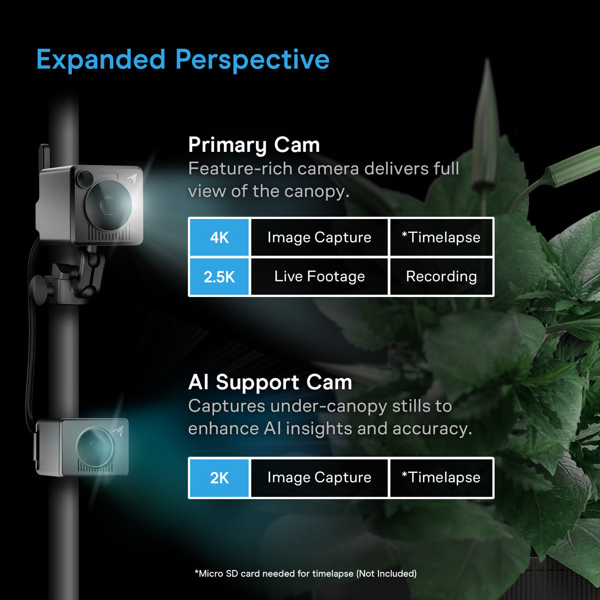 Spectron7_GrowCamera_IMG4__281