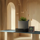 Instant Potting Mix Kit, 2-Plant Starter Set