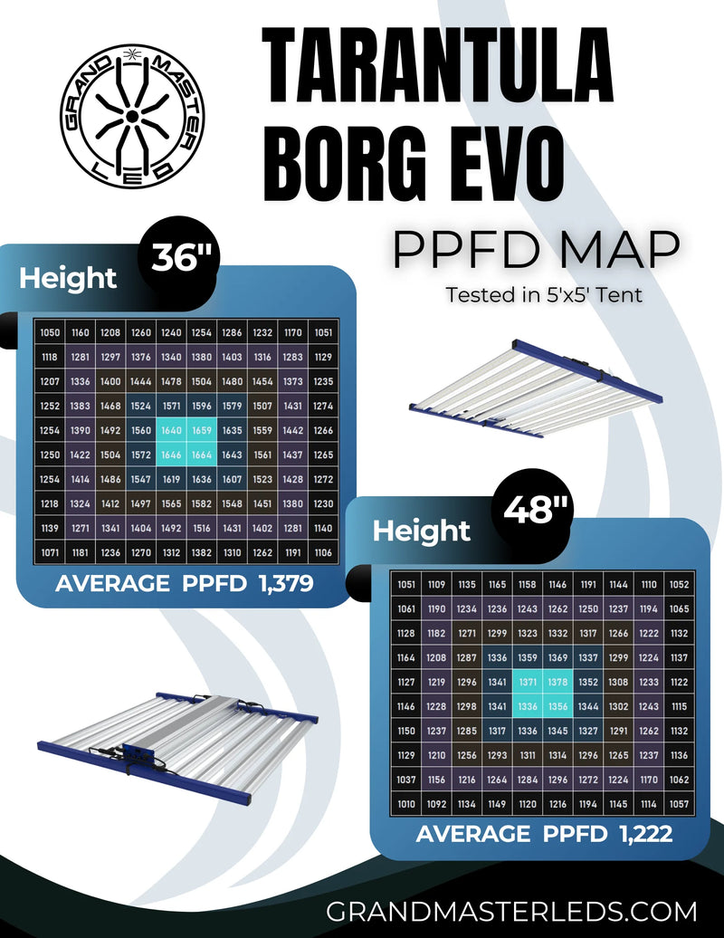 borg ev v3