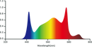Spectral distribution graph with peaks at different wavelengths on a white background