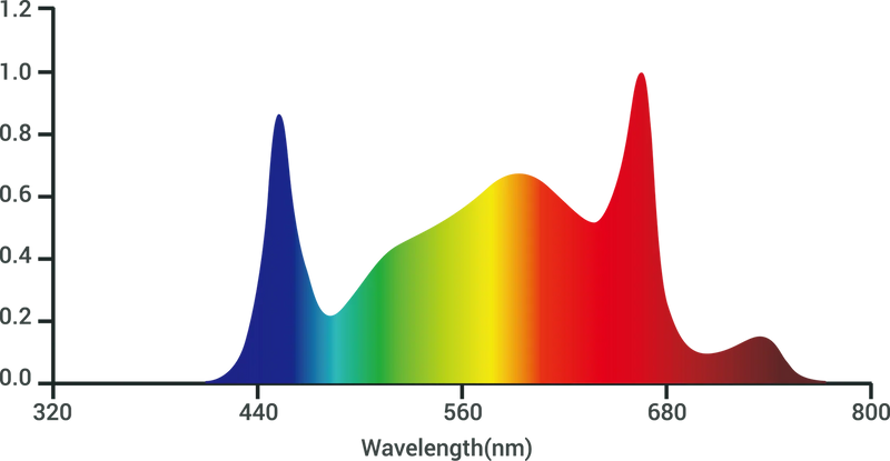 Spectral distribution graph with peaks at different wavelengths on a white background