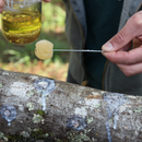Lion's Mane Mushroom Outdoor Log Starter Kit