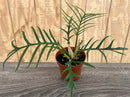 Potted plant with long green leaves on a wooden surface. philodendron tortum