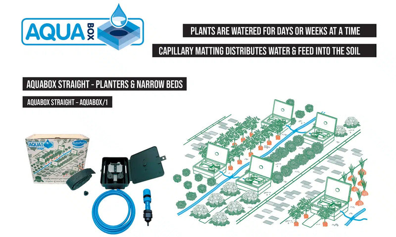 AutoPot  AQUAbox Straight