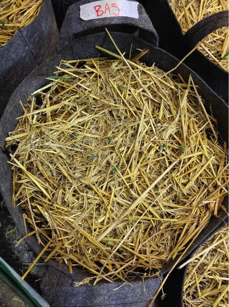 BuildASoil Certified Organic Straw Mulch