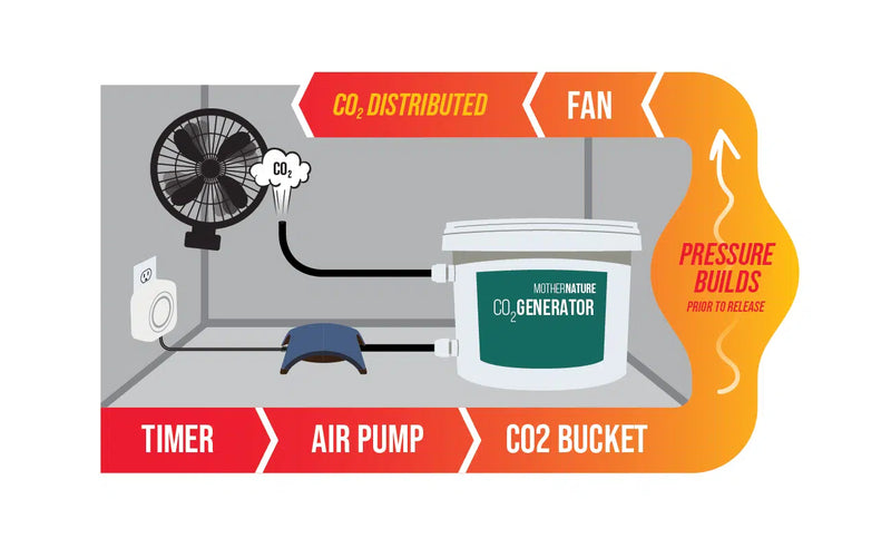 Mother Nature CO2 Generator Kit with Single Outlet Air Pump