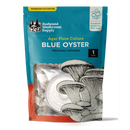 Blue Oyster Plate Culture