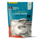 Lion's Mane Plate Culture