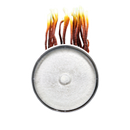 Reishi Plate Culture