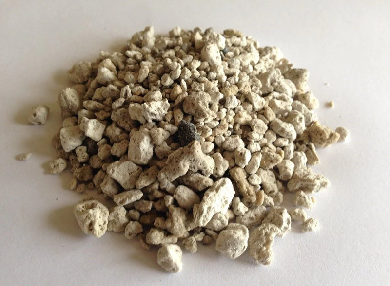 BuildASoil Pumice