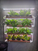 Garden NFT Hydroponic System - 36 Plant Pods with Grow Light