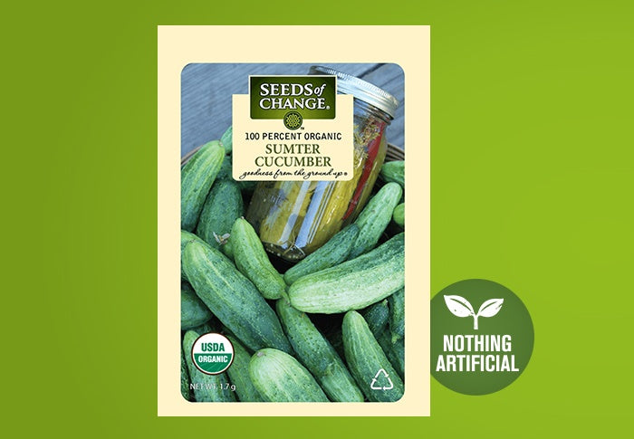 Seeds Of Change Sumter Cucumber