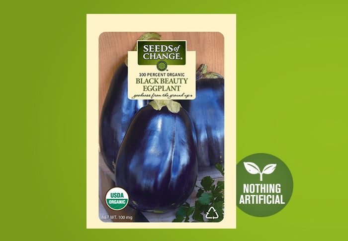 Seeds Of Change Black Beauty Eggplant