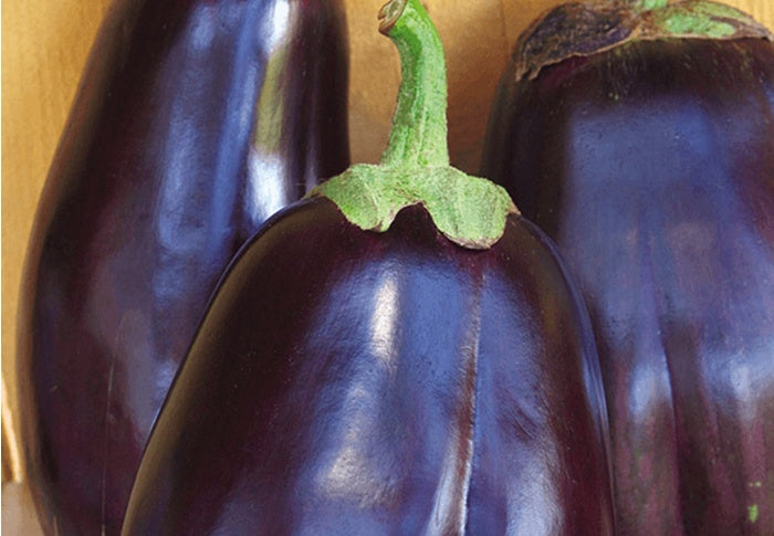 Seeds Of Change Black Beauty Eggplant