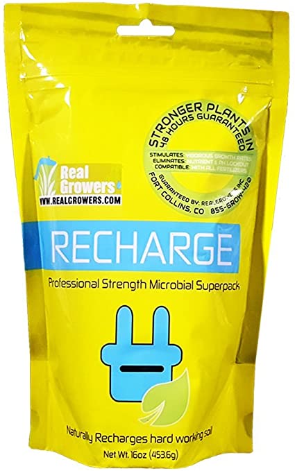 Real Growers Recharge  16 Ounce