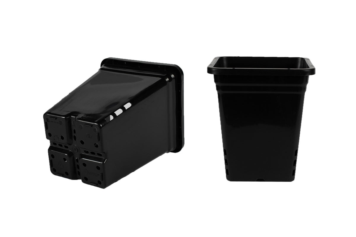 deep square plant pots SUNPACK Square Pot Black 9 Inch x 9 I