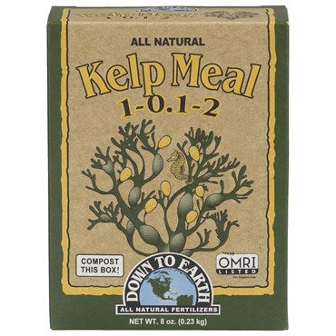 Bodenständiges Kelp-Essen